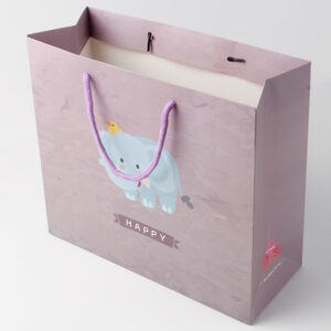 What objective factors are the packaging design bag limited to