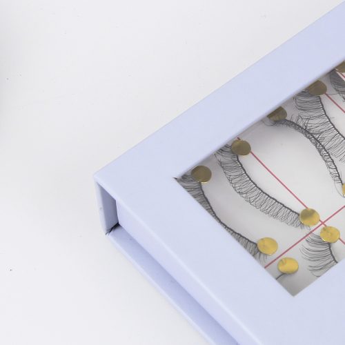 flip eyelash packaging box